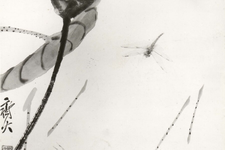 Čcchi Paj-š´, Plod kokosu a vážky, Čína 1928, tuš a barvy na hedvábném papíře, 10 cm, foto: Blanka Lamrová